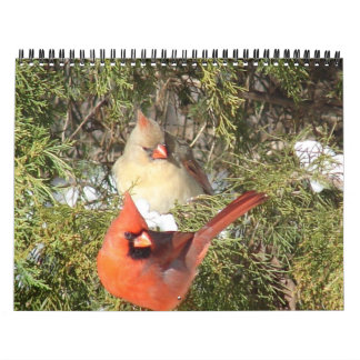 Calendario de todos los cardenales
