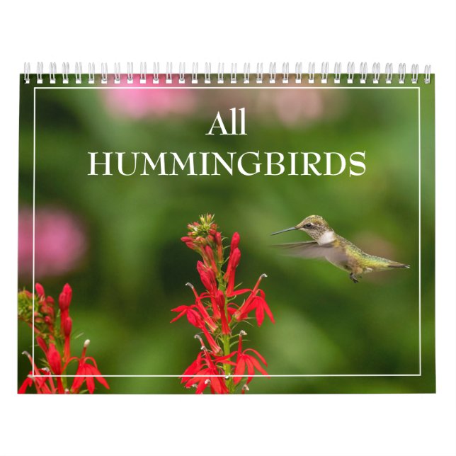 Calendario de todos los Hummingbirds (Tapa)