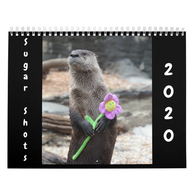 Calendario de tomas de azúcar 2020 (Tapa)