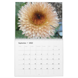 Calendario de TooleyWoods 2023