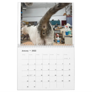 Calendario De Toros De Gato 2022