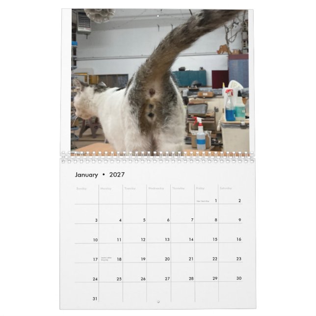 Calendario De Toros De Gato 2022 (Jan 2027)