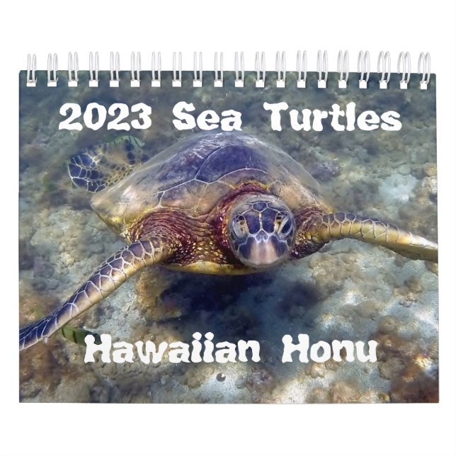 Calendario de tortugas verdes de Hawai 2023 (Tapa)