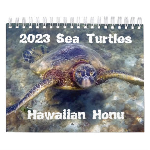 Calendario de tortugas verdes de Hawai 2023