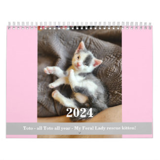 Calendario de Toto Kitten (mi salvamento de la dam