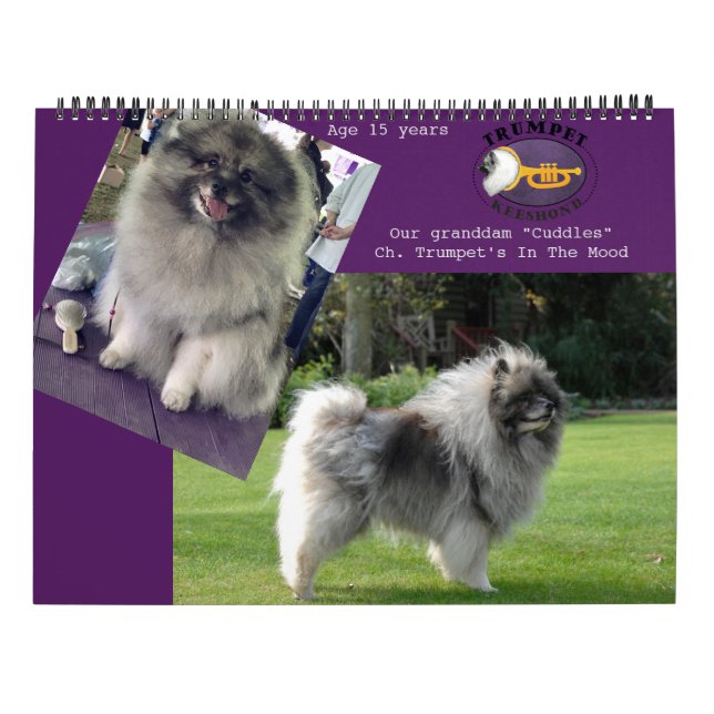 Calendario de Trumpet Keeshond 2018 (Reverso)