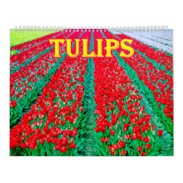Calendario de tulipanes