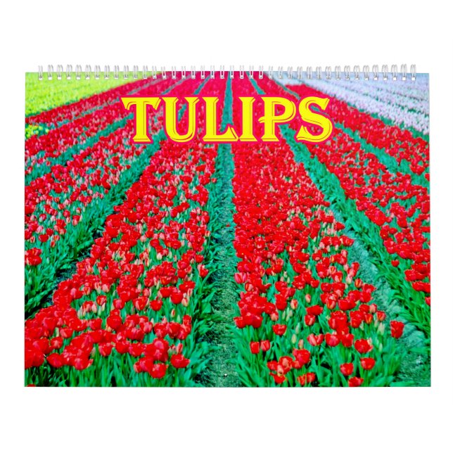 Calendario de tulipanes (Tapa)