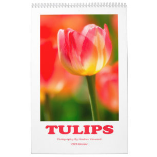 Calendario de tulipanes de 2020