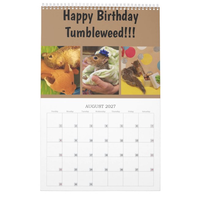 Calendario de Tumbleweed 2020 (Aug 2027)