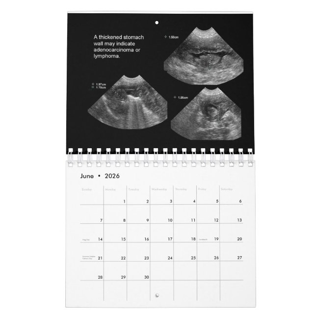 Calendario de ultrasonido veterinario (Jun 2026)
