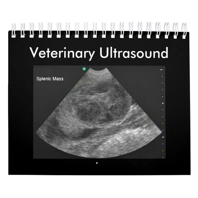 Calendario de ultrasonido veterinario 2024 (Tapa)