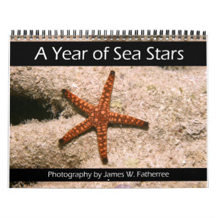 Calendario de un año de estrellas marinas