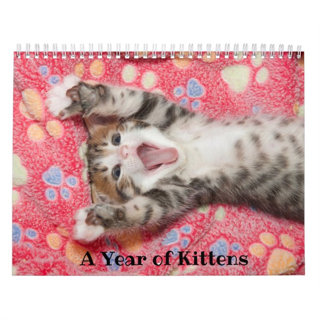 Calendario de un año de gatitos (Tapa)