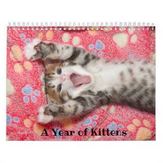 Calendario de un año de gatitos