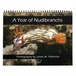 Calendario de un año de nudibranquios