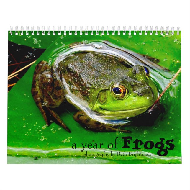 Calendario de un año de ranas (Tapa)