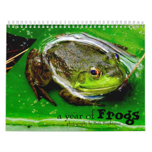 Calendario de un año de ranas