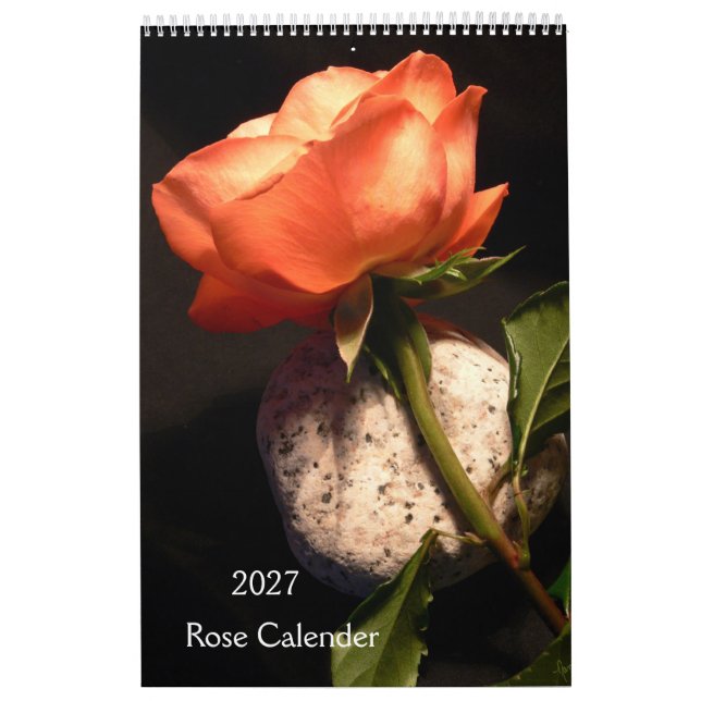 Calendario de un solo rosa 2027 (Tapa)