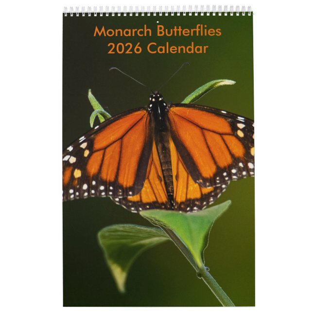 Calendario de una página para las mariposas monarc (Tapa)