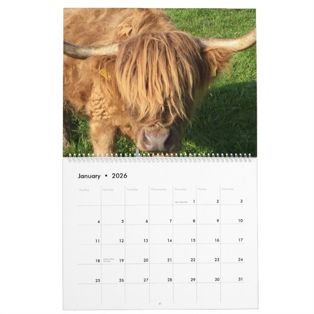 Calendario de vacas (Jan 2026)
