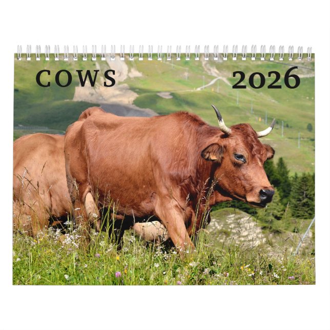 Calendario de vacas (Tapa)