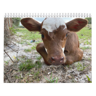 Calendario de vacas 2024