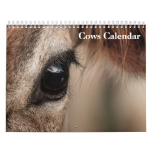 Calendario de Vacas 2027