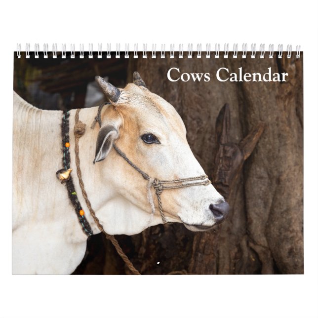 Calendario de Vacas 2027 (Tapa)