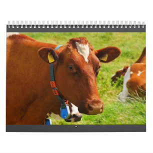 Calendario de vacas completamente curadas