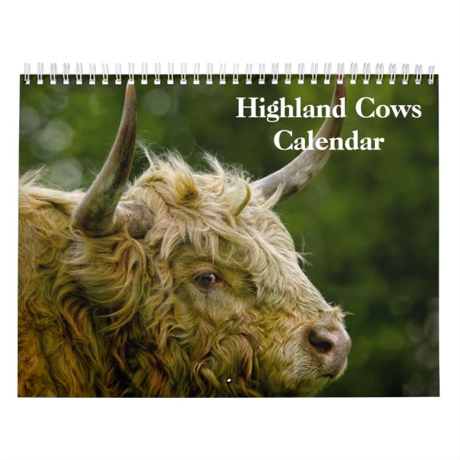 Calendario de vacas de Highland 2025 (Tapa)