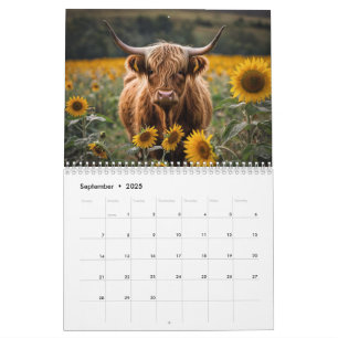 Calendario de vacas Highland