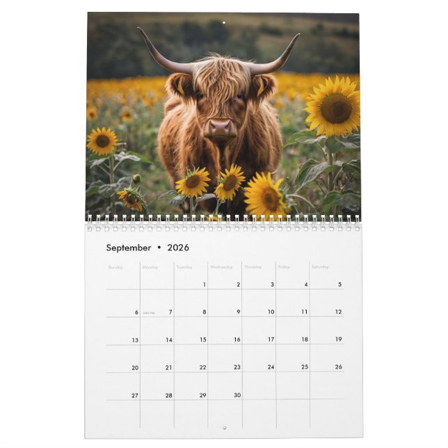 Calendario de vacas Highland (Sep 2026)