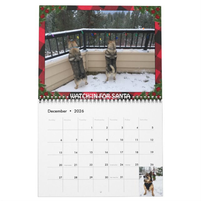 Calendario de Vallhund Sueco (Dec 2026)