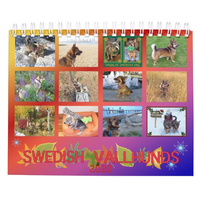 Calendario de Vallhund Sueco 2020 (Reverso)