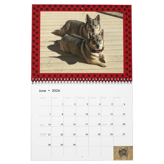Calendario de Vallhund Sueco 2024* (Jun 2026)
