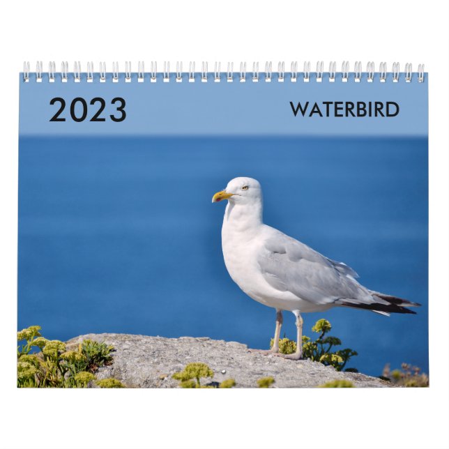 Calendario de varias aves acuáticas (Tapa)