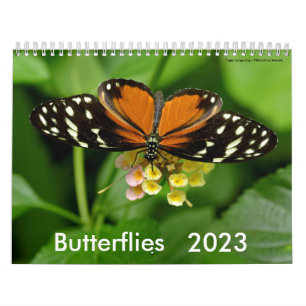 Calendario de varias mariposas