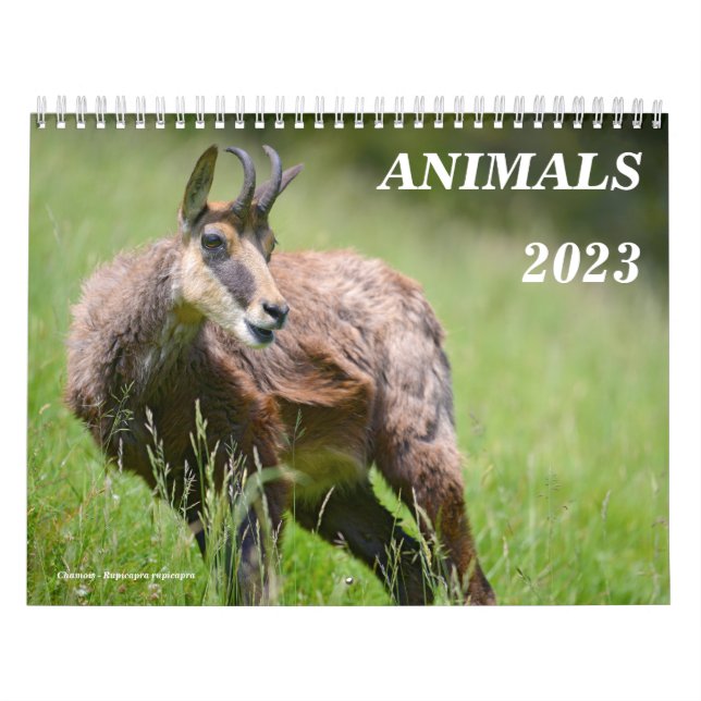 Calendario de varios animales (Tapa)