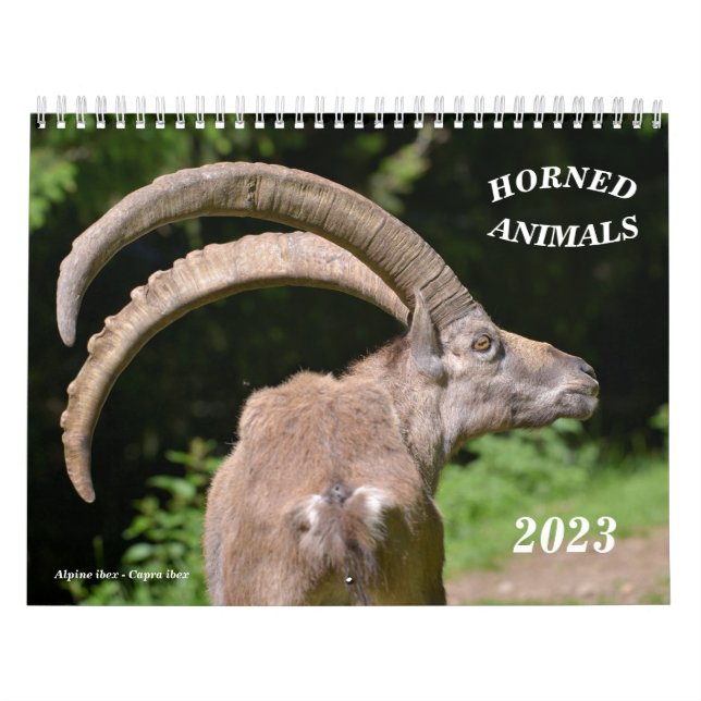 Calendario de varios animales (Tapa)