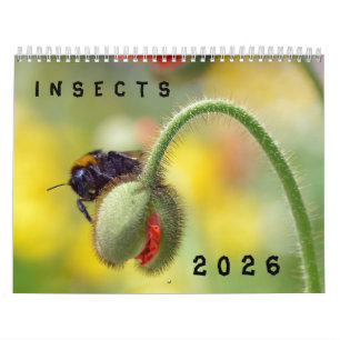 Calendario de varios insectos