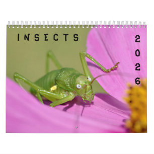 Calendario de varios insectos