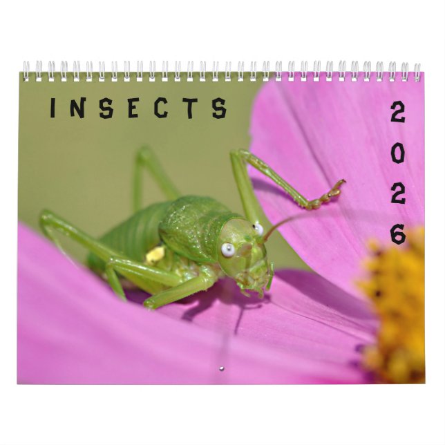 Calendario de varios insectos (Tapa)