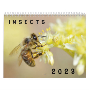 Calendario de varios insectos
