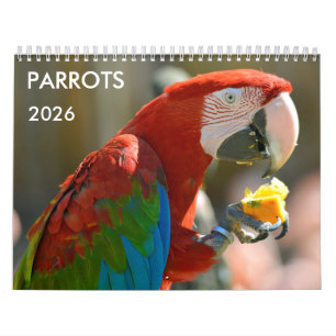 Calendario de varios loros