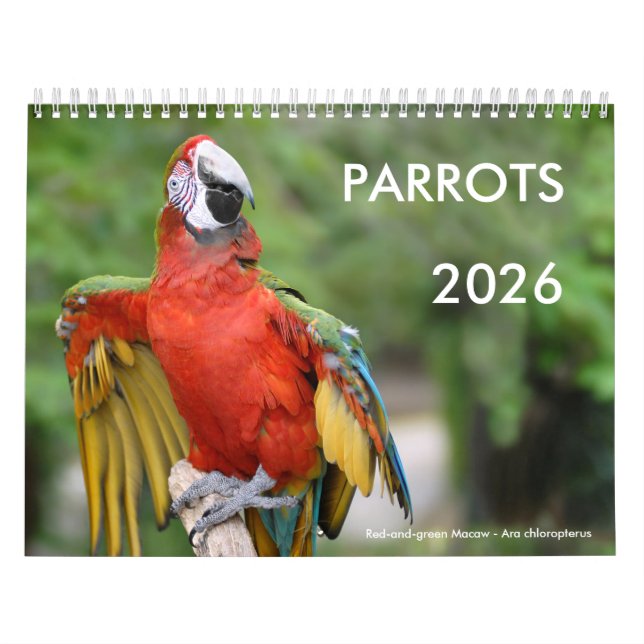 Calendario de varios loros (Tapa)