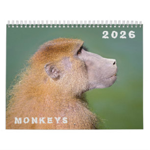 Calendario de varios monos