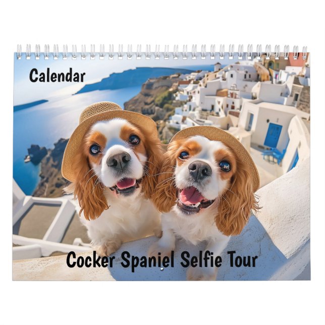 Calendario de viaje - Gira de selfies de Cocker Sp (Tapa)