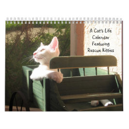 Calendario de vida de un gato - Con citas divertid