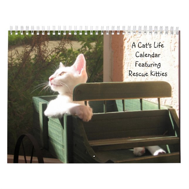 Calendario de vida de un gato - Con citas divertid (Tapa)